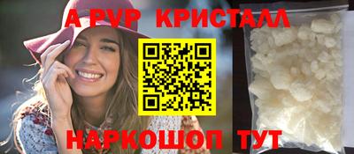 мдпв Кингисепп