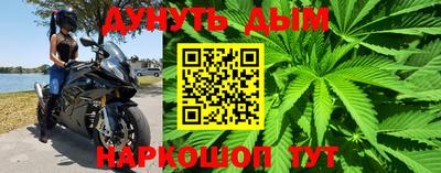 мдпв Кингисепп