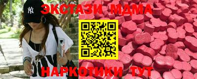 мдпв Кингисепп