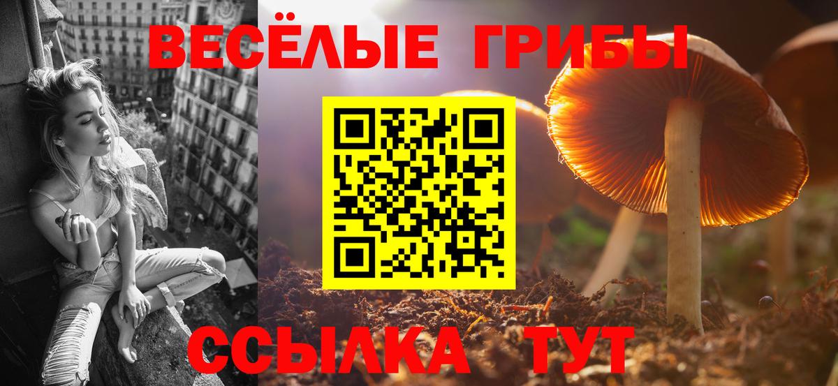 Галлюциногенные грибы прущие грибы  Галлюциногенные грибы мухоморы  Киров  Вход с VPN 